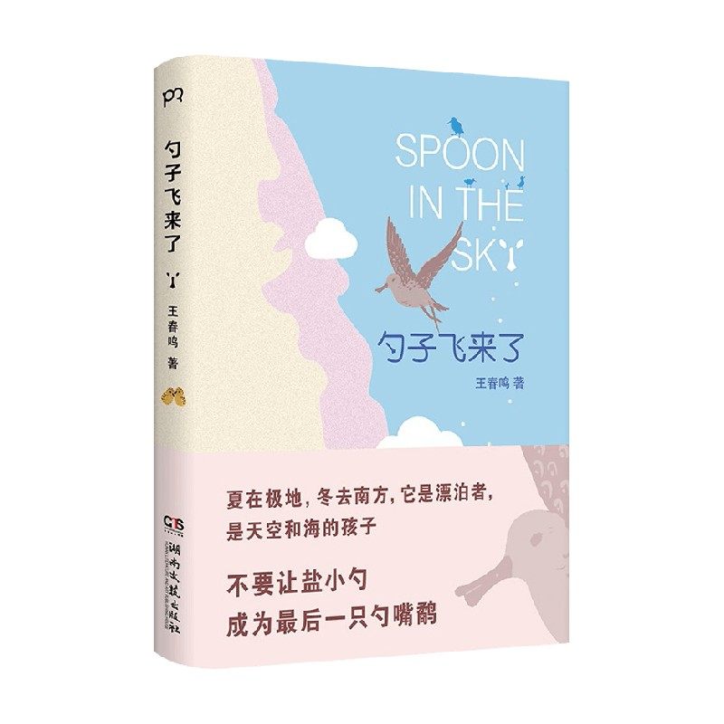 勺子飞来了 王春鸣 著 儿童文学