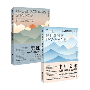 男性困境 他们内心的创伤 恐惧与愤怒+中年之路 人格的第二次成型 詹姆斯·霍利斯 著 心理学