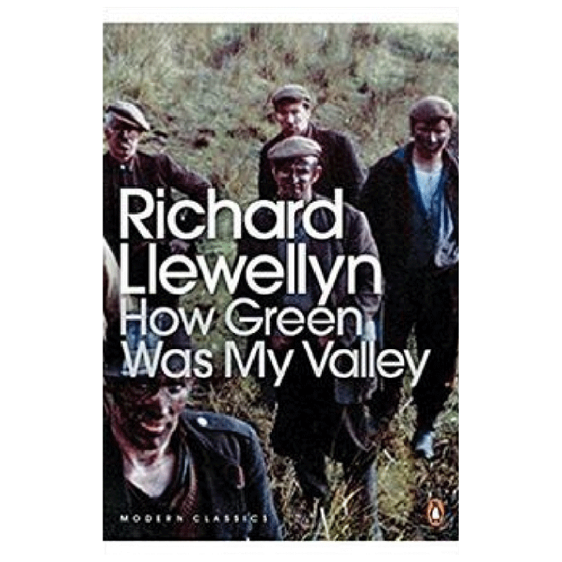英文原版 How Green Was My Valley 我的山谷有多绿