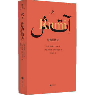火 鲁米抒情诗 贾拉勒丁·鲁米著 导演阿巴斯精编细选的鲁米诗集 人类文明的伟大遗产 古代波斯文化瑰宝