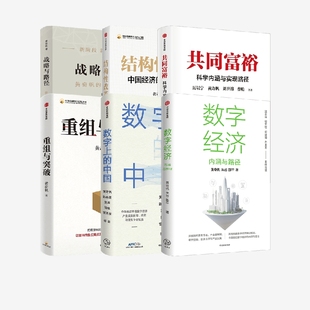 重組與突破 中國 著 經濟 數字上 黃奇帆等 共同富裕 戰略與路徑 結構性改革 數字經濟