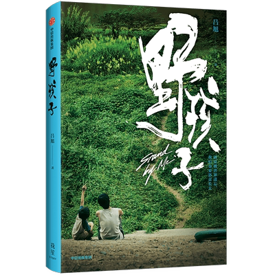 【赠官方纪念海报+典藏明信片*6+剧照卡*4+手绘书签】野孩子 吕旭著 王俊凯邓家佳主演野孩子电影同名书 小说