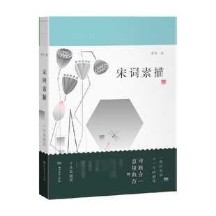 文学 著 宋词素描 曾冬