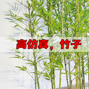仿真竹子造景仿生假竹子景观室内户外绿植隔断挡墙围栏装饰新中式