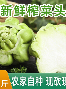 新鲜榨菜头5斤青菜头农家自种重庆涪陵特产正宗榨菜头全形疙瘩