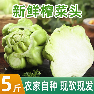 新鲜榨菜头5斤青菜头农家自种重庆涪陵特产正宗榨菜头全形疙瘩