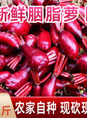 涪陵特产胭脂萝卜泡菜上色