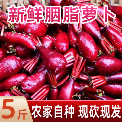 涪陵特产胭脂萝卜泡菜上色