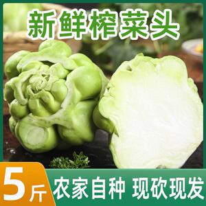 重庆新鲜榨菜头青菜头正宗涪陵直发特产农家自种5斤装包邮大头菜