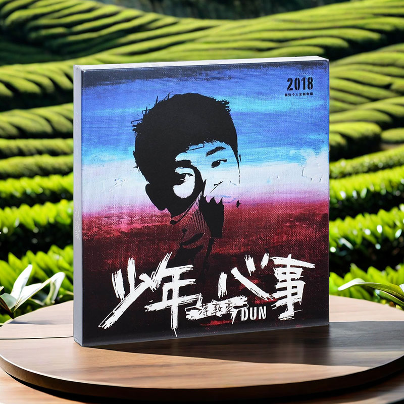 种地吧少年-蒋敦豪专辑 少年心事 CD+歌词写真 官方正版唱片周边