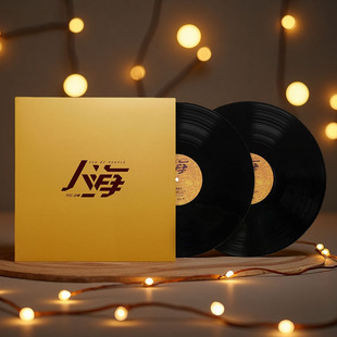 官方正版 汪峰 2025全新实体专辑《人海》LP黑胶唱片 双碟