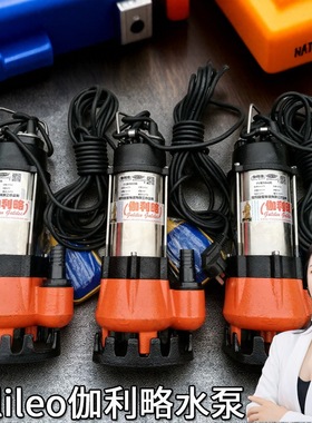 污潜污水泵一体便携式杭州家用提升小口径型075220v电动扬程泵
