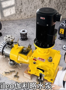 高精度双头不锈钢离心泵j系列上海三伽利略优质电子lmi活塞机械泵