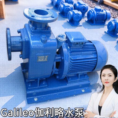 寸不锈钢的防爆洒水车自吸排污水泵卧立式动大功率上海无堵塞泵