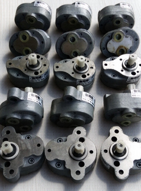 高粘度稠油泵报告cb-b低压齿轮泵齿轮油泵cbg2100