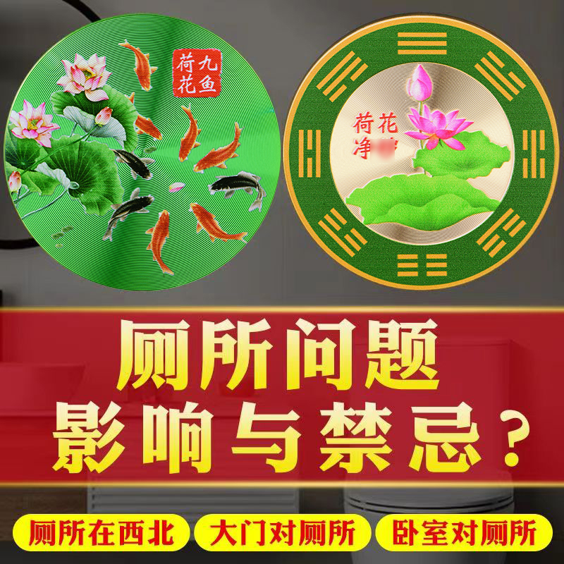 卫生间荷花牌厕所在西北门对门卧室厨...