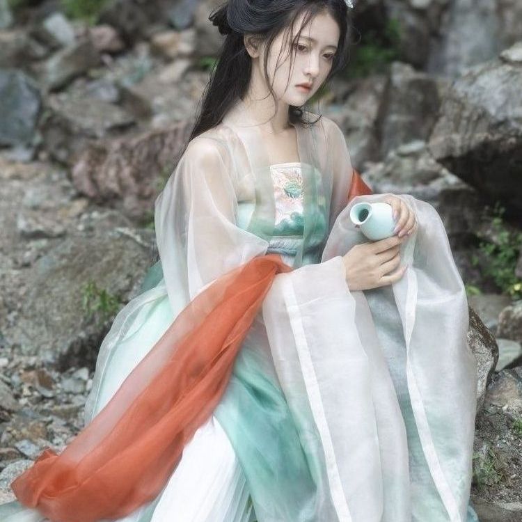 唐制绣花齐胸大袖衫印花诃子裙