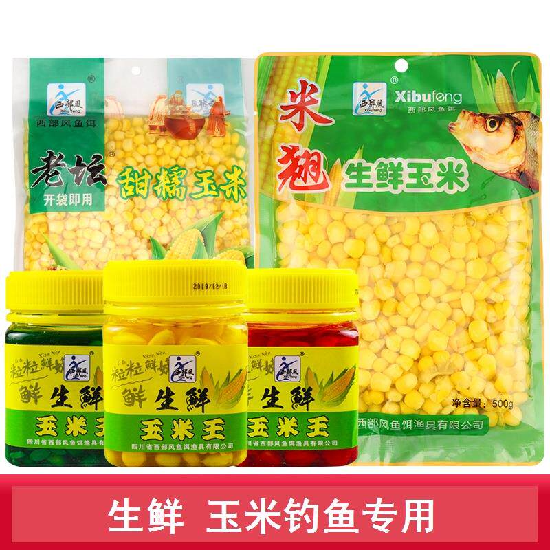新鲜玉米罐头钓鱼聚鱼窝料