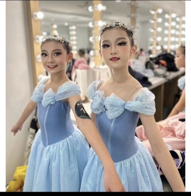 儿童芭蕾舞裙女童艾莎公主蓝色舞蹈演出服专业蓬蓬裙表演服TUTU裙