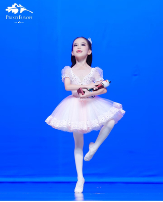 克拉拉女变奏芭蕾舞裙专业舞台表演服装儿童舞蹈蓬蓬裙公主裙高档