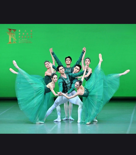 绿宝石芭蕾舞长纱裙成人珠宝绿色舞蹈表演服专业演出服儿童蓬蓬裙