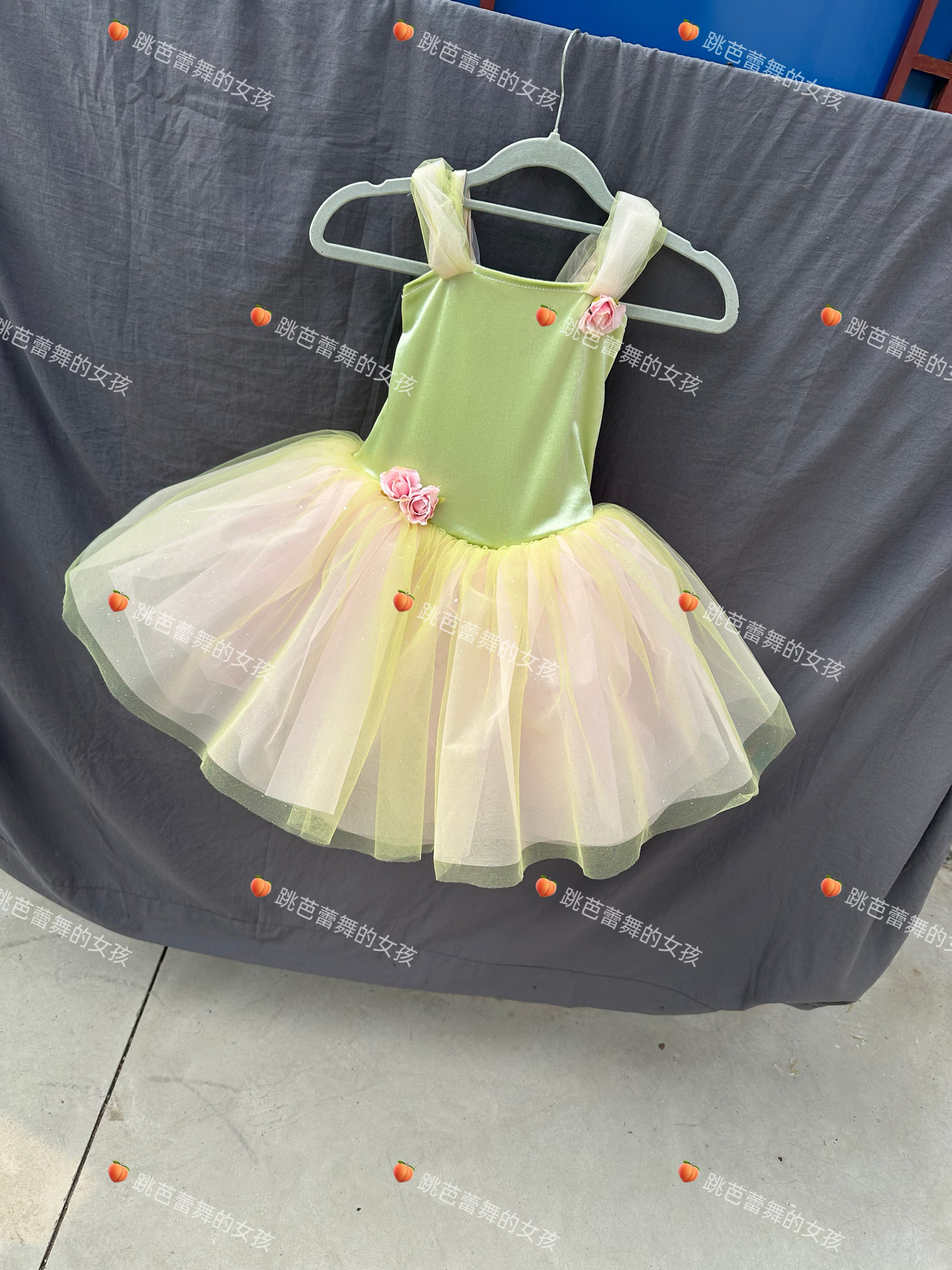 幼儿园舞蹈纱裙儿童芭蕾舞演出服蓬蓬裙迪士尼奇妙仙子表演服写真