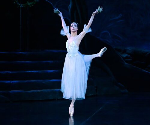 仙女芭蕾演出服成人舞裙比赛表演裙白色专业篷篷裙长纱裙芭蕾舞裙