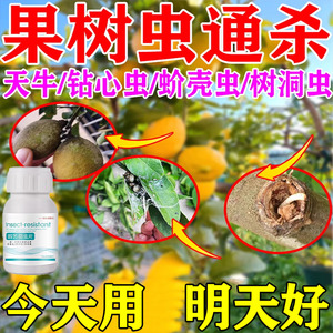 果树杀虫专用药杀菌剂天牛幼虫钻心树洞虫克星柠檬杀虫防虫片大全