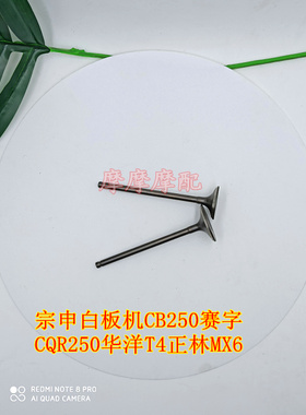 适用于宗申白板机CB250赛字CQR250华洋T4正林MX6高赛越野车气门