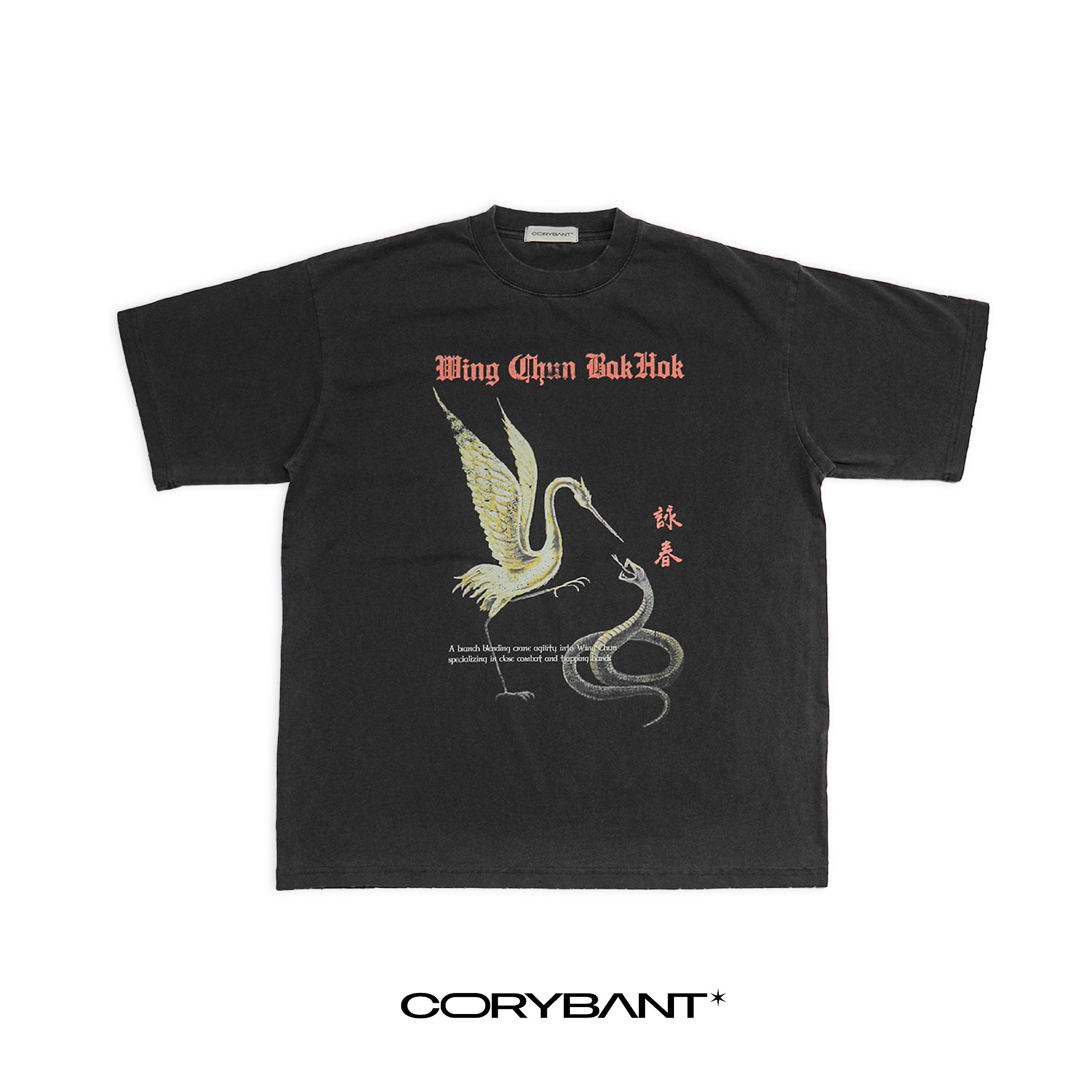 CORYBANT 复古做旧水洗NewVintage咏春白鹤拳印花洗水磨边男女T恤