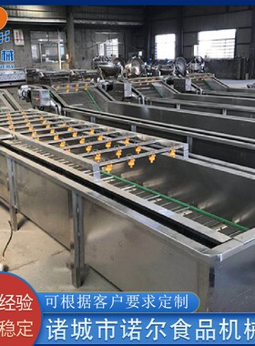 厂家供应豆角气泡清洗机 果蔬气泡清洗机 青梅清洗机 支持定制