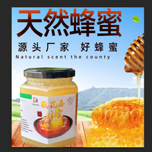 甘肃陇南土蜂蜜纯正天然野生蜂蜜礼县百花蜜农家自产自销蜂蜜500g