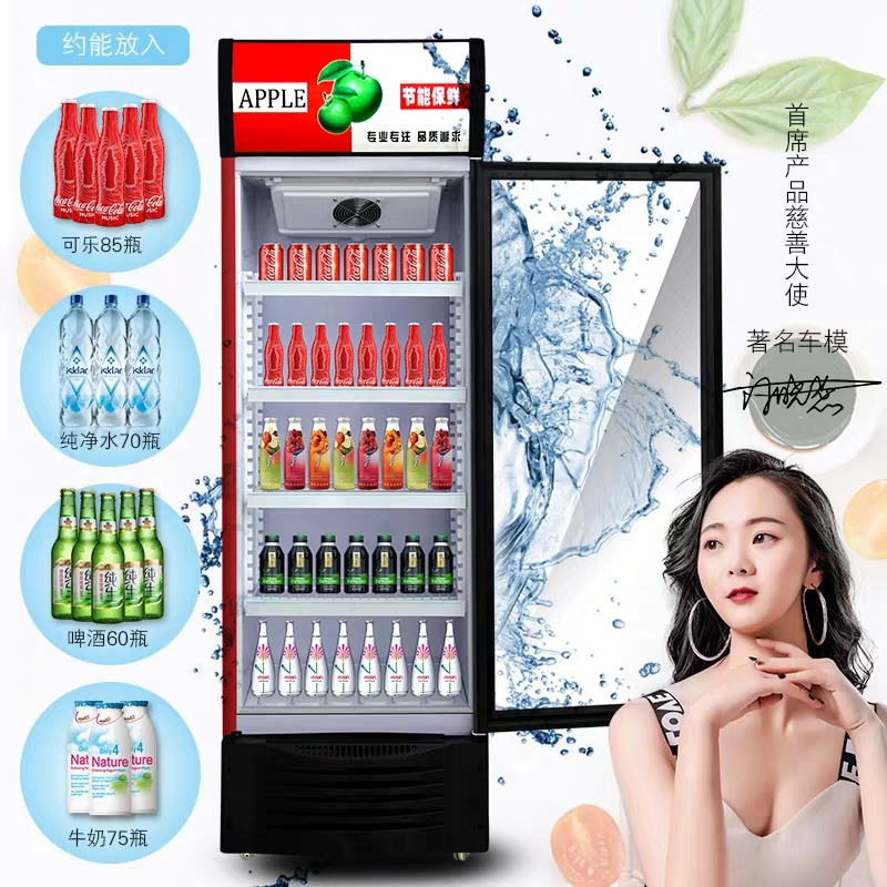 饮品啤酒超市便利双门冷藏展示柜