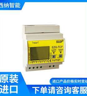 MULLER ZIEGLER电能表EZG-S0