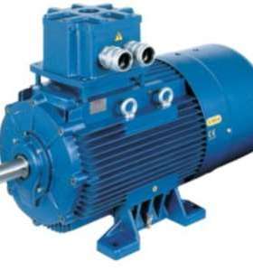 德国 维姆 VEM 电机可满足变极多速电机的设计详见资料