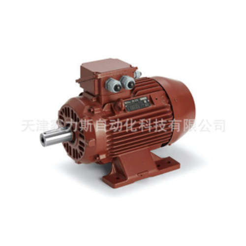 TEE电机Q1EFA71M4B-40H