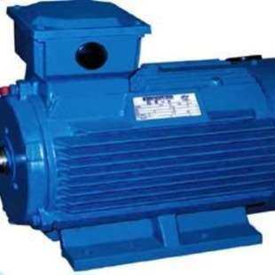 美国LESSON11 x 8-1/2 In.交流电机进口