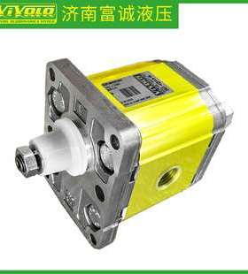X2P5102ECBA液压工作台油泵VIVOLO液压齿轮泵