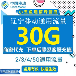 辽宁移动流量充值30GB流量包叠加包2/3/4/5G全国通用流量当月有效