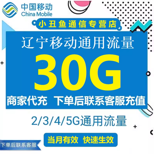 辽宁移动流量充值30GB流量包叠加包2/3/4/5G全国通用流量当月有效