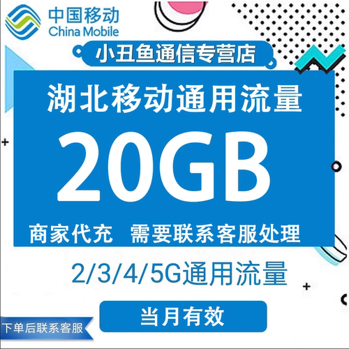 湖北移动流量充值20GB流量包叠加包2/3/4/5G全国通用流量当月有效