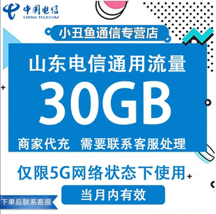 山东电信流量充值30G月包国内5G网络专用流量通用包当月有效