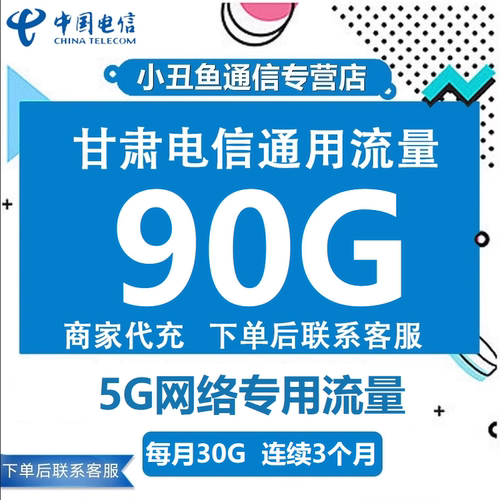 甘肃电信流量充值90G5G专用