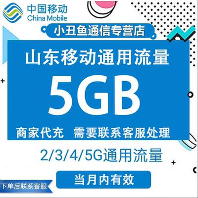 山东移动流量充值5GB流量包叠加包2/3/4/5G全国通用流量当月有效