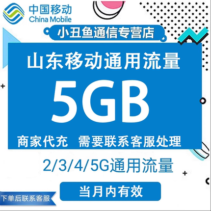 山东移动流量充值5GB流量包叠加包2/3/4/5G全国通用流量当月有效