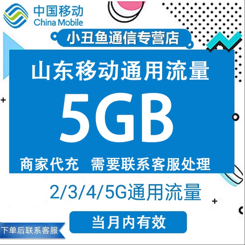 山东移动流量充值5GB流量包叠加包2/3/4/5G全国通用流量当月有效