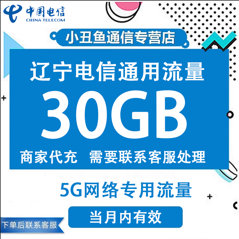 辽宁电信流量充值30G月包