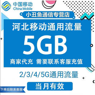 河北移动流量充值5GB当月有效3G4G5G全国通用移动流量当月有效