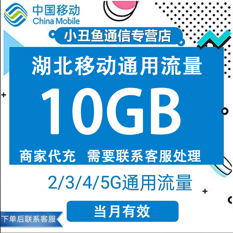 湖北移动流量充值10G国内2G3G4G全国通用流量叠加油包当月有效