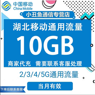 湖北移动流量充值10G国内2G3G4G全国通用流量叠加油包当月有效